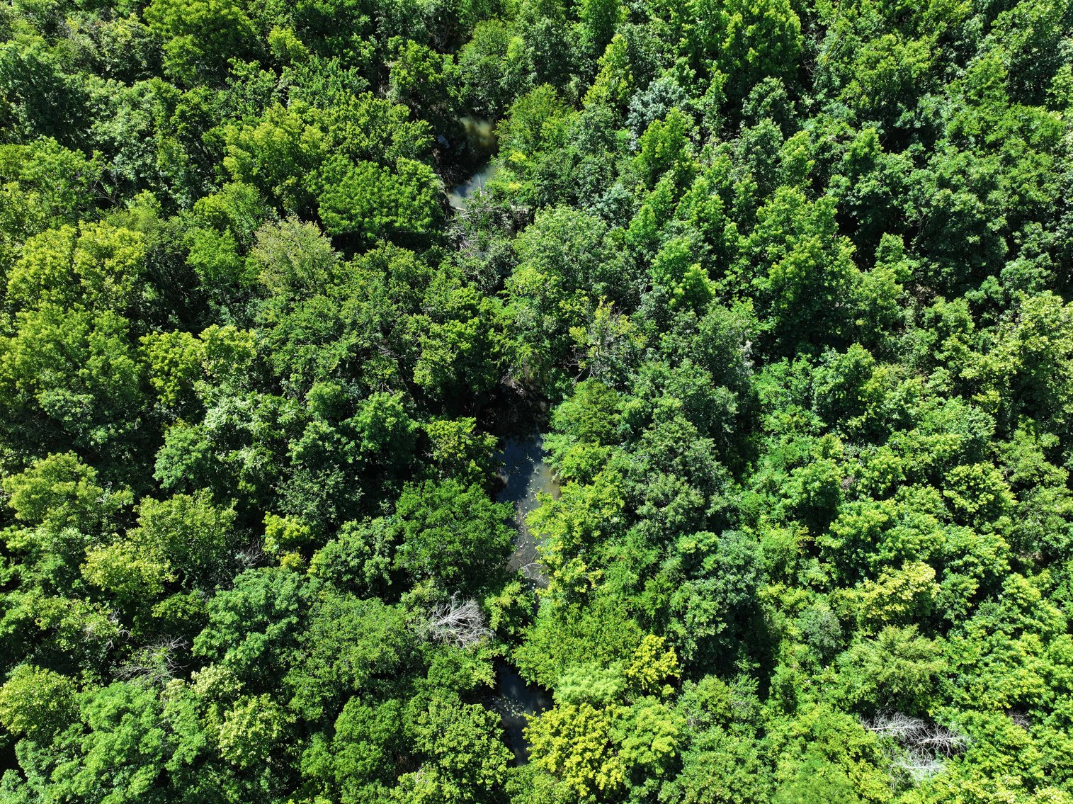 Image for County Road N-3, Doniphan Missouri 63935, MLS #24040216