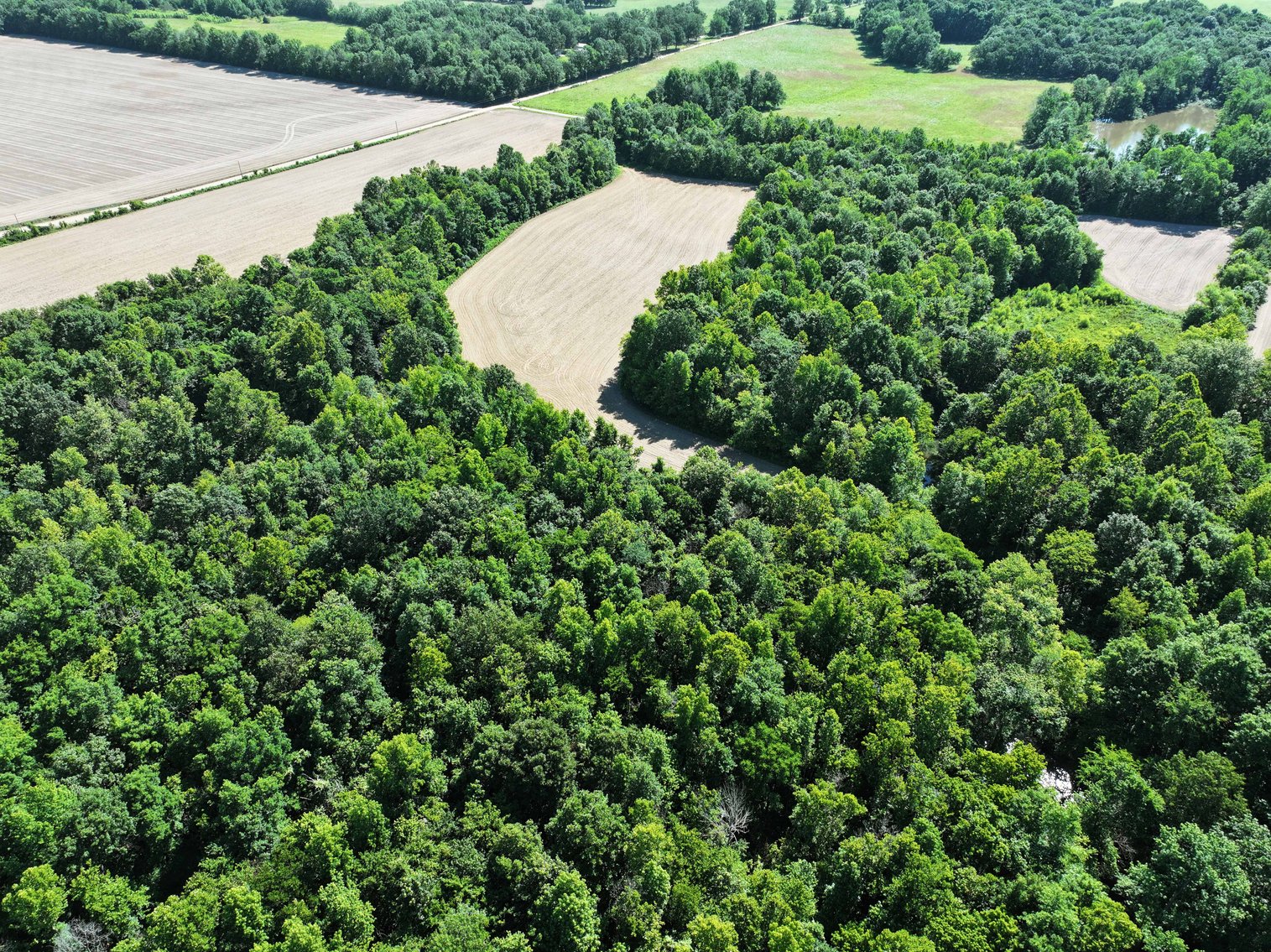 Image for County Road N-3, Doniphan Missouri 63935, MLS #24040216