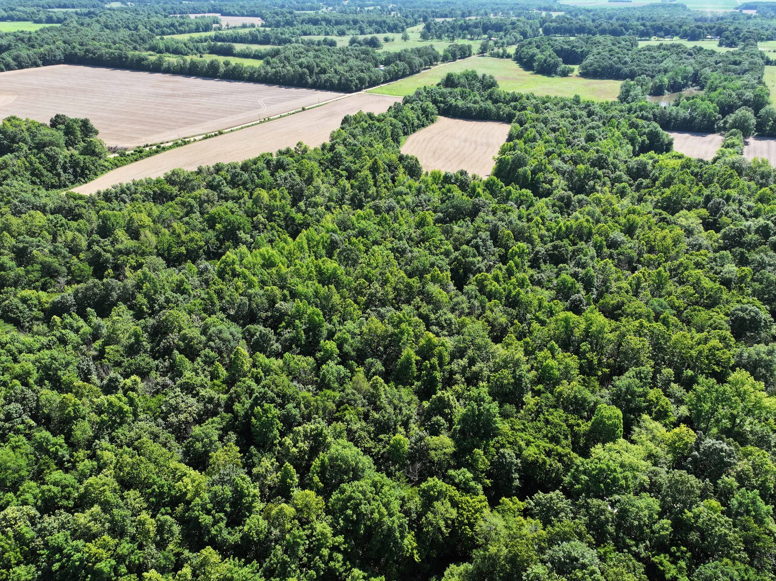 Image for County Road N-3, Doniphan Missouri 63935, MLS #24040216