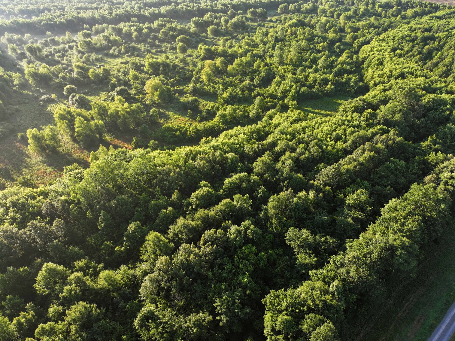 Image for 56 Acres M/L, County Road 727, New Madrid MO 63869, MLS #24041344