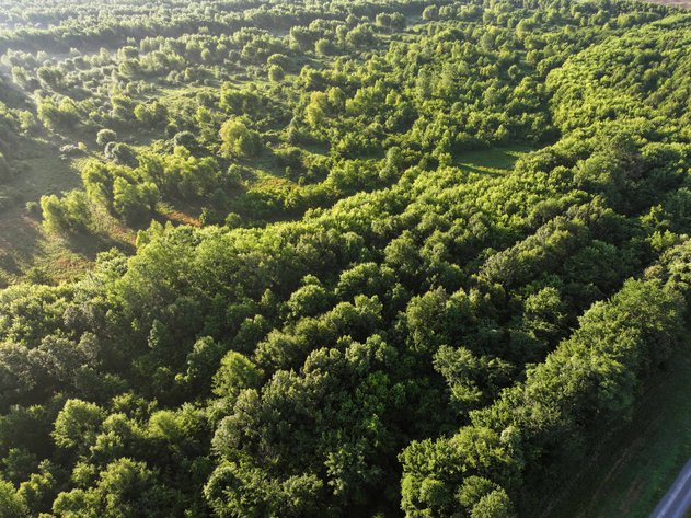 Image for 56 Acres M/L, County Road 727, New Madrid MO 63869, MLS #24041344