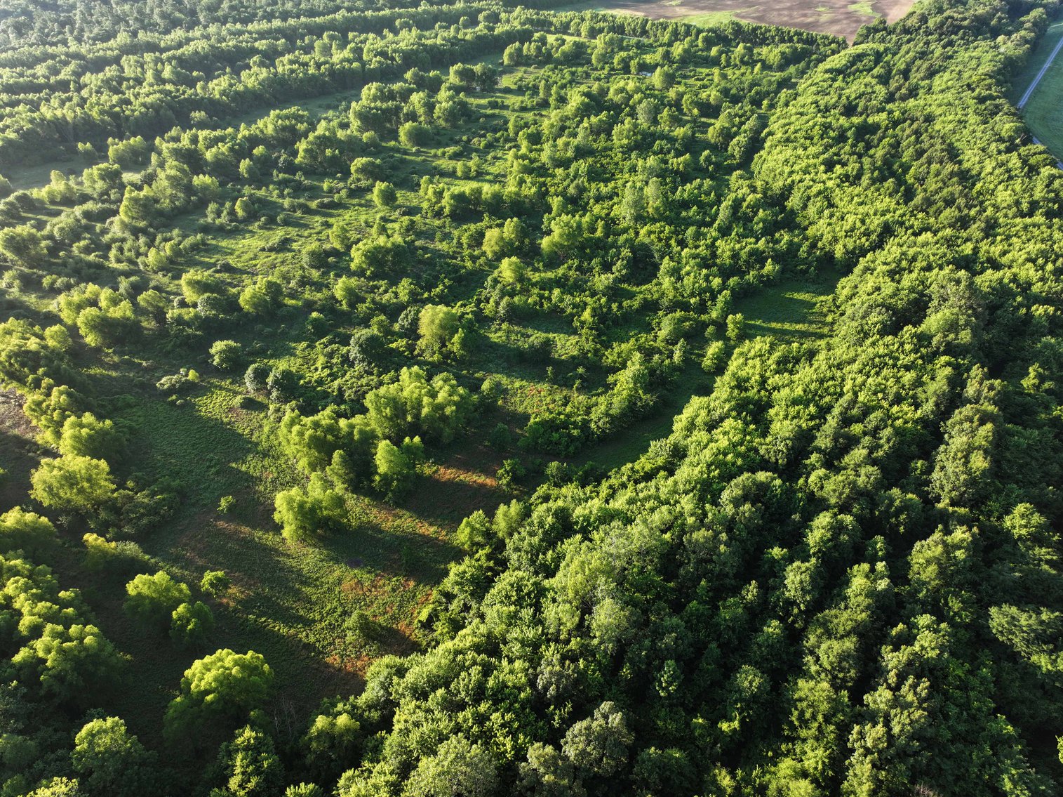 Image for 56 Acres M/L, County Road 727, New Madrid MO 63869, MLS #24041344