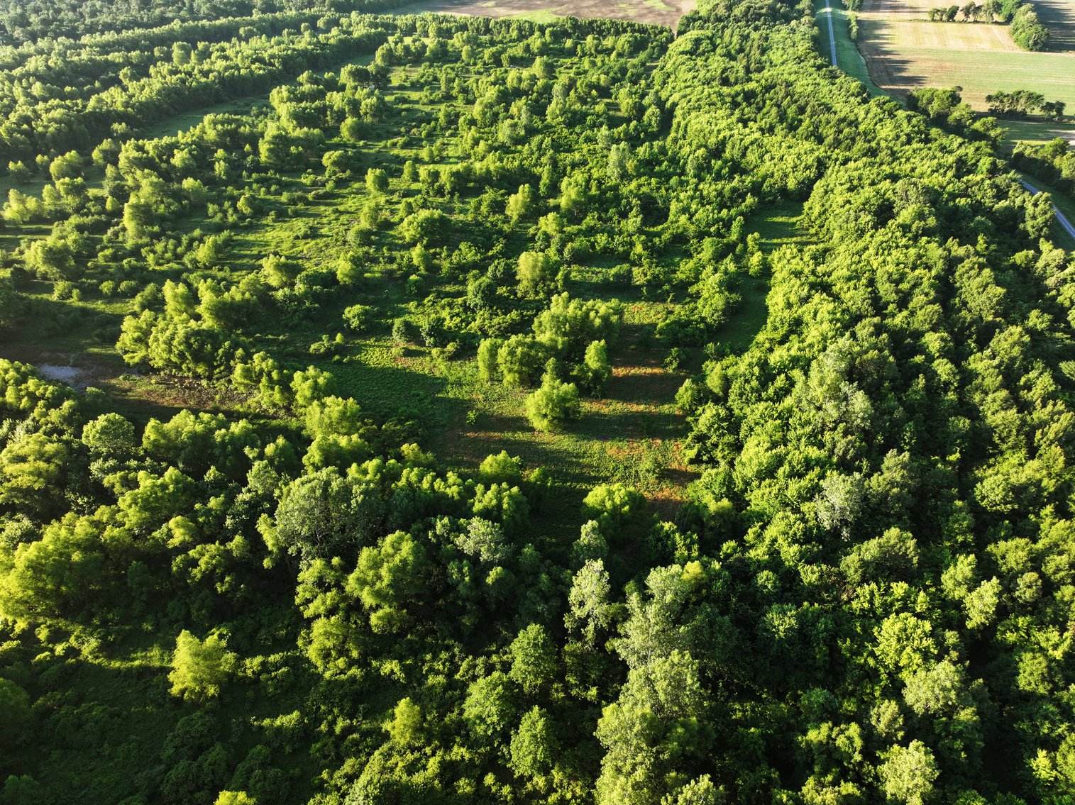 Image for 56 Acres M/L, County Road 727, New Madrid MO 63869, MLS #24041344