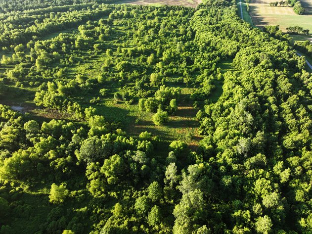 Image for 56 Acres M/L, County Road 727, New Madrid MO 63869, MLS #24041344