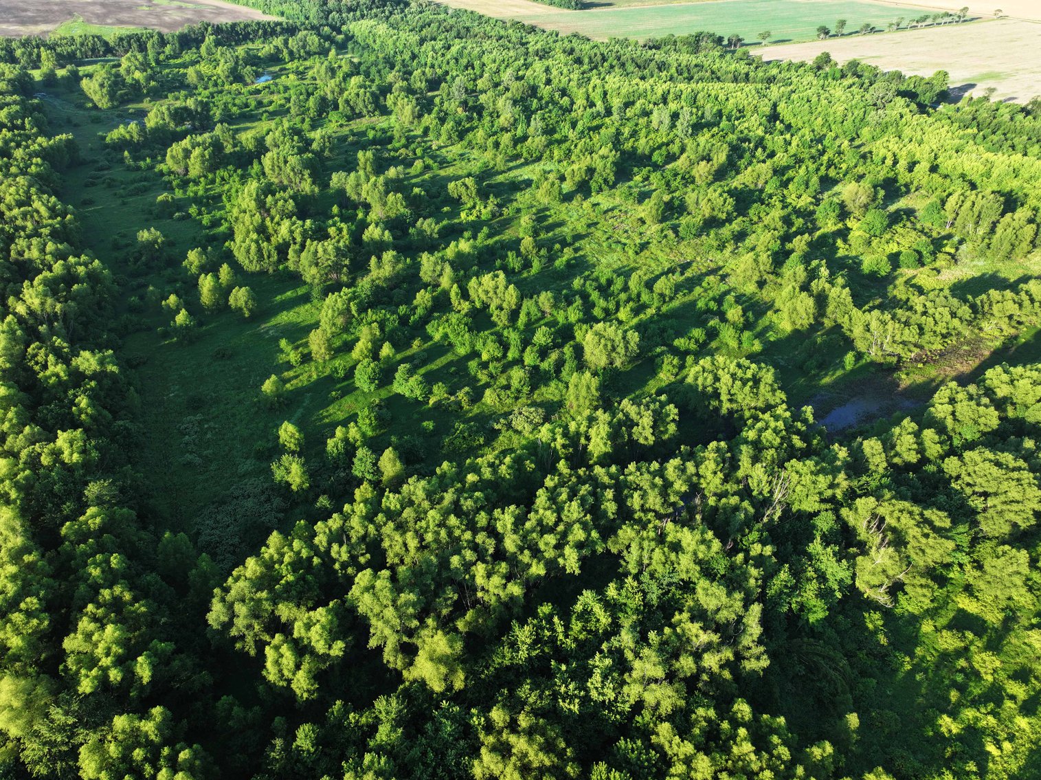 Image for 56 Acres M/L, County Road 727, New Madrid MO 63869, MLS #24041344