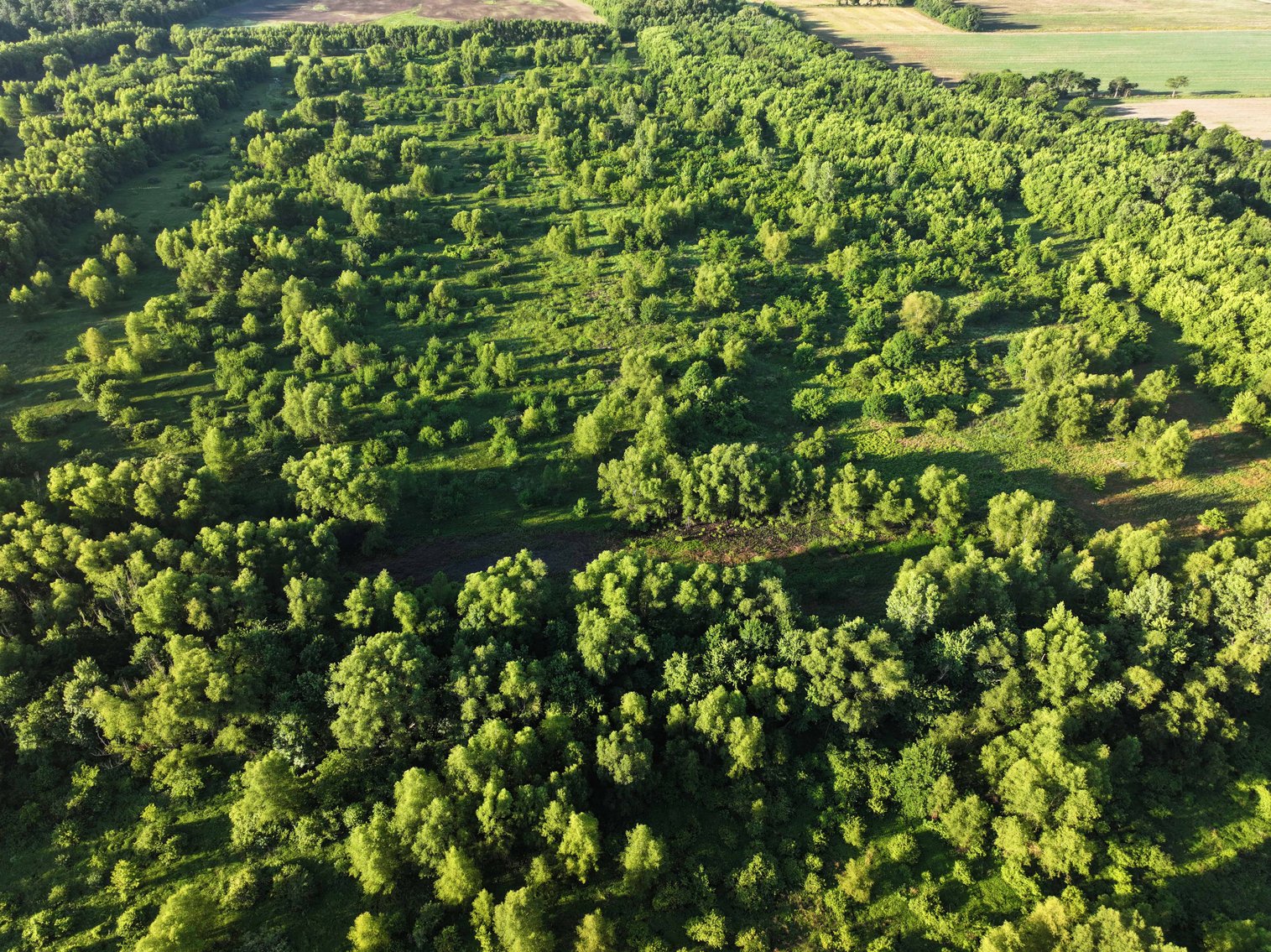 Image for 56 Acres M/L, County Road 727, New Madrid MO 63869, MLS #24041344