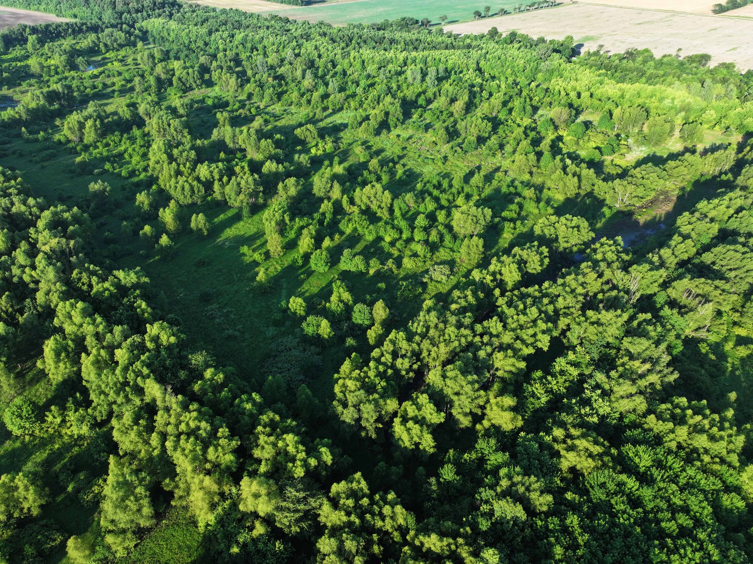 Image for 56 Acres M/L, County Road 727, New Madrid MO 63869, MLS #24041344