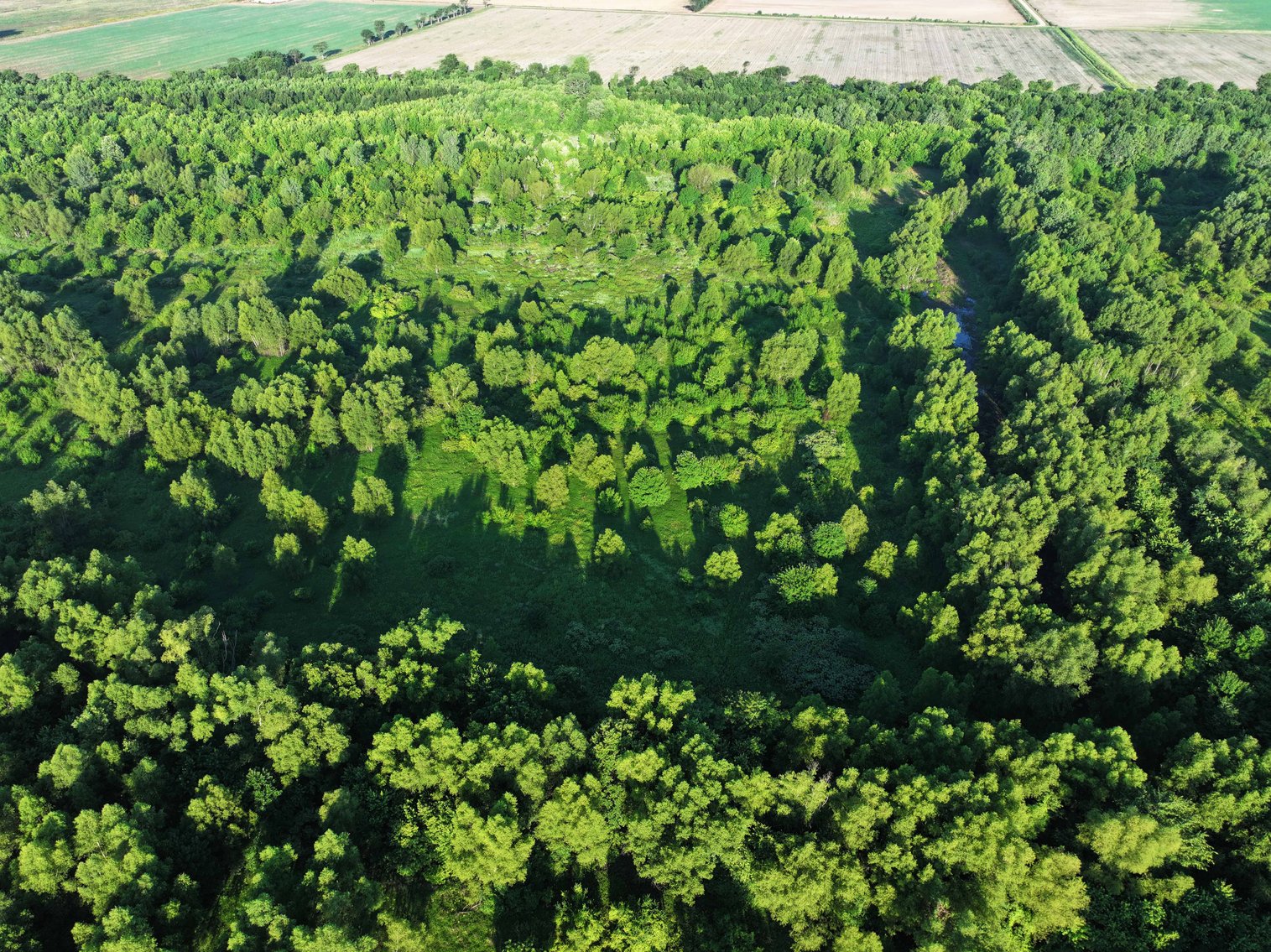 Image for 56 Acres M/L, County Road 727, New Madrid MO 63869, MLS #24041344