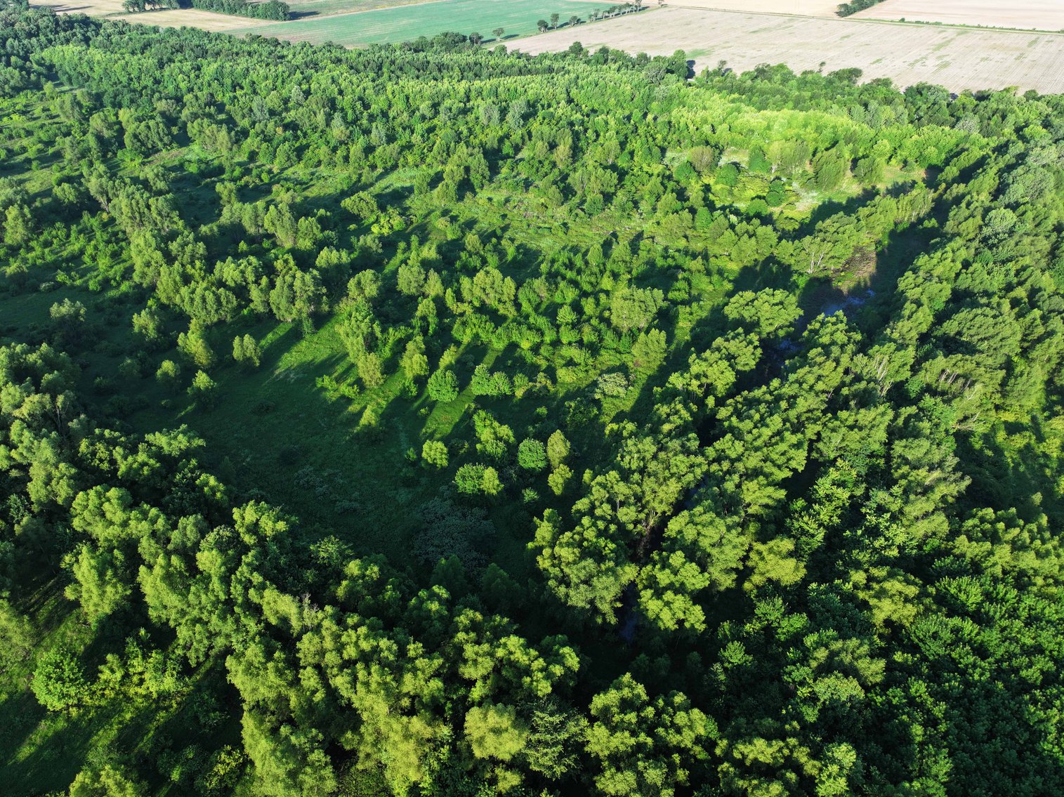 Image for 56 Acres M/L, County Road 727, New Madrid MO 63869, MLS #24041344