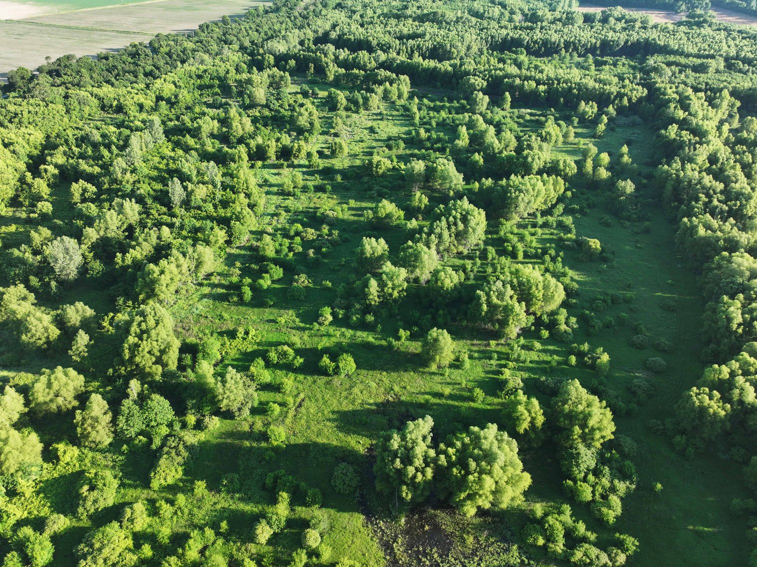 Image for 56 Acres M/L, County Road 727, New Madrid MO 63869, MLS #24041344