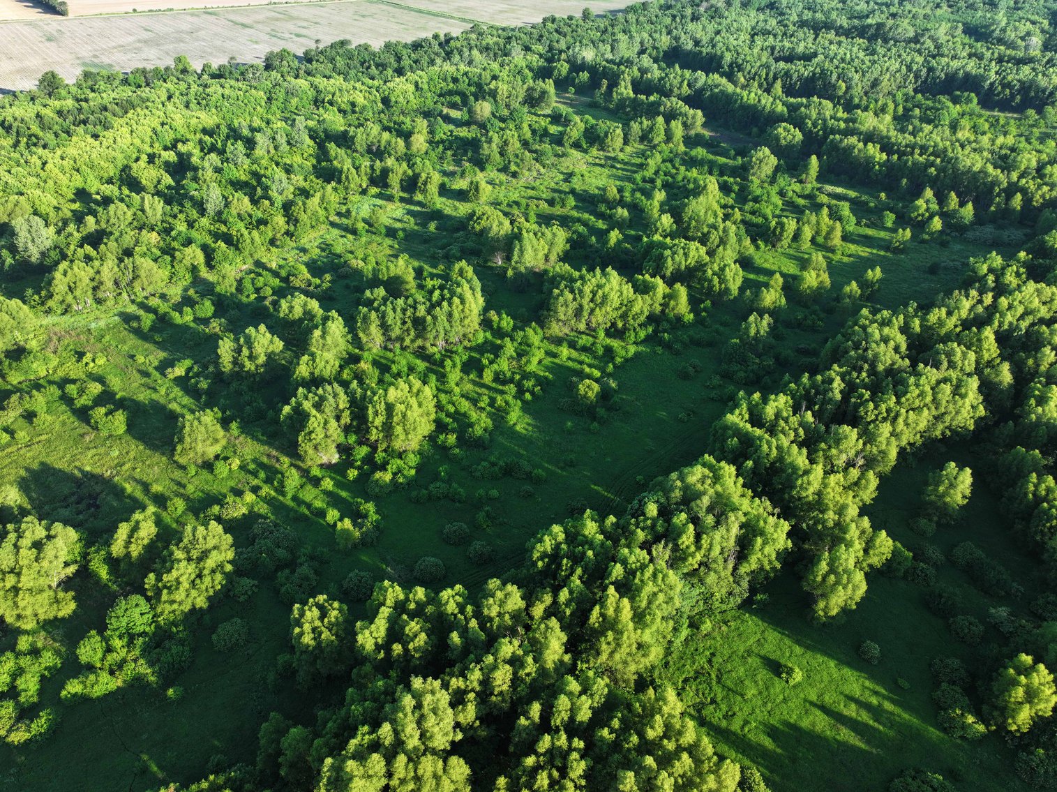 Image for 56 Acres M/L, County Road 727, New Madrid MO 63869, MLS #24041344