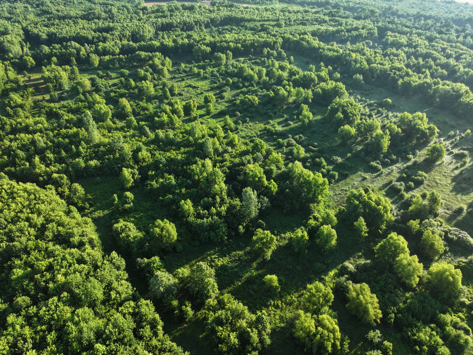 Image for 56 Acres M/L, County Road 727, New Madrid MO 63869, MLS #24041344