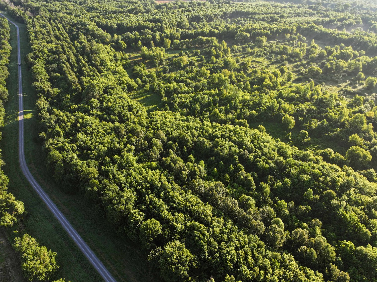 Image for 56 Acres M/L, County Road 727, New Madrid MO 63869, MLS #24041344