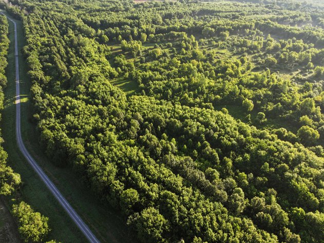 Image for 56 Acres M/L, County Road 727, New Madrid MO 63869, MLS #24041344