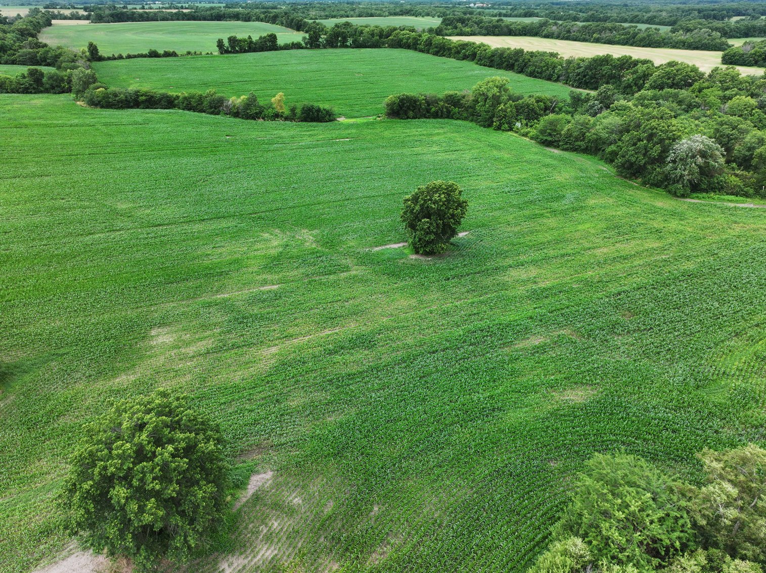 Image for 160 Acres +/-  Stutsman Road, Brookfield 64676, MLS# 24021844