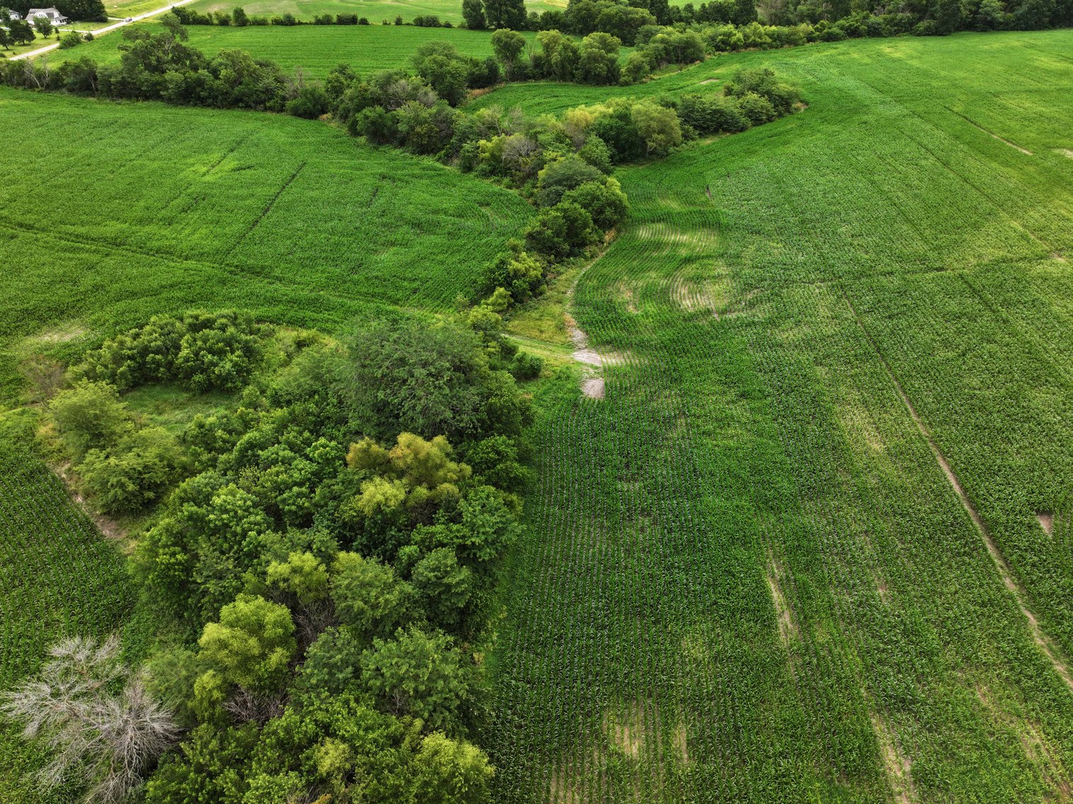 Image for 160 Acres +/-  Stutsman Road, Brookfield 64676, MLS# 24021844