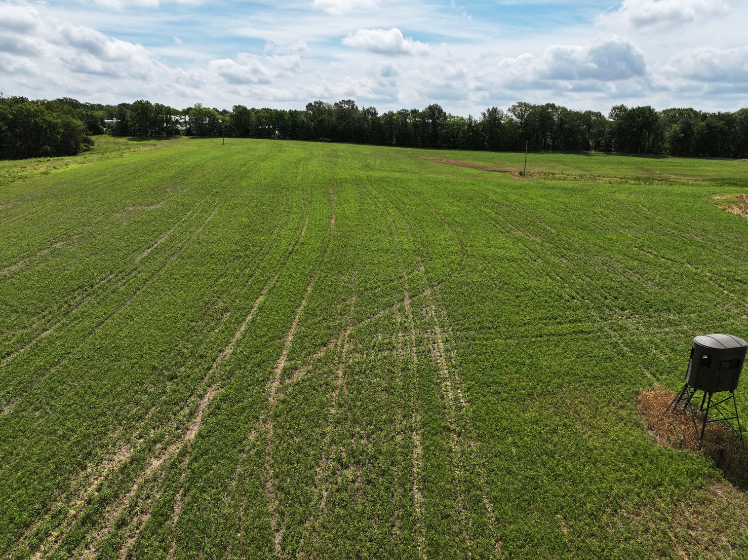 Image for 8 Acres M/L, PCR 702, Perryville, MO 63775, MLS # 24043407