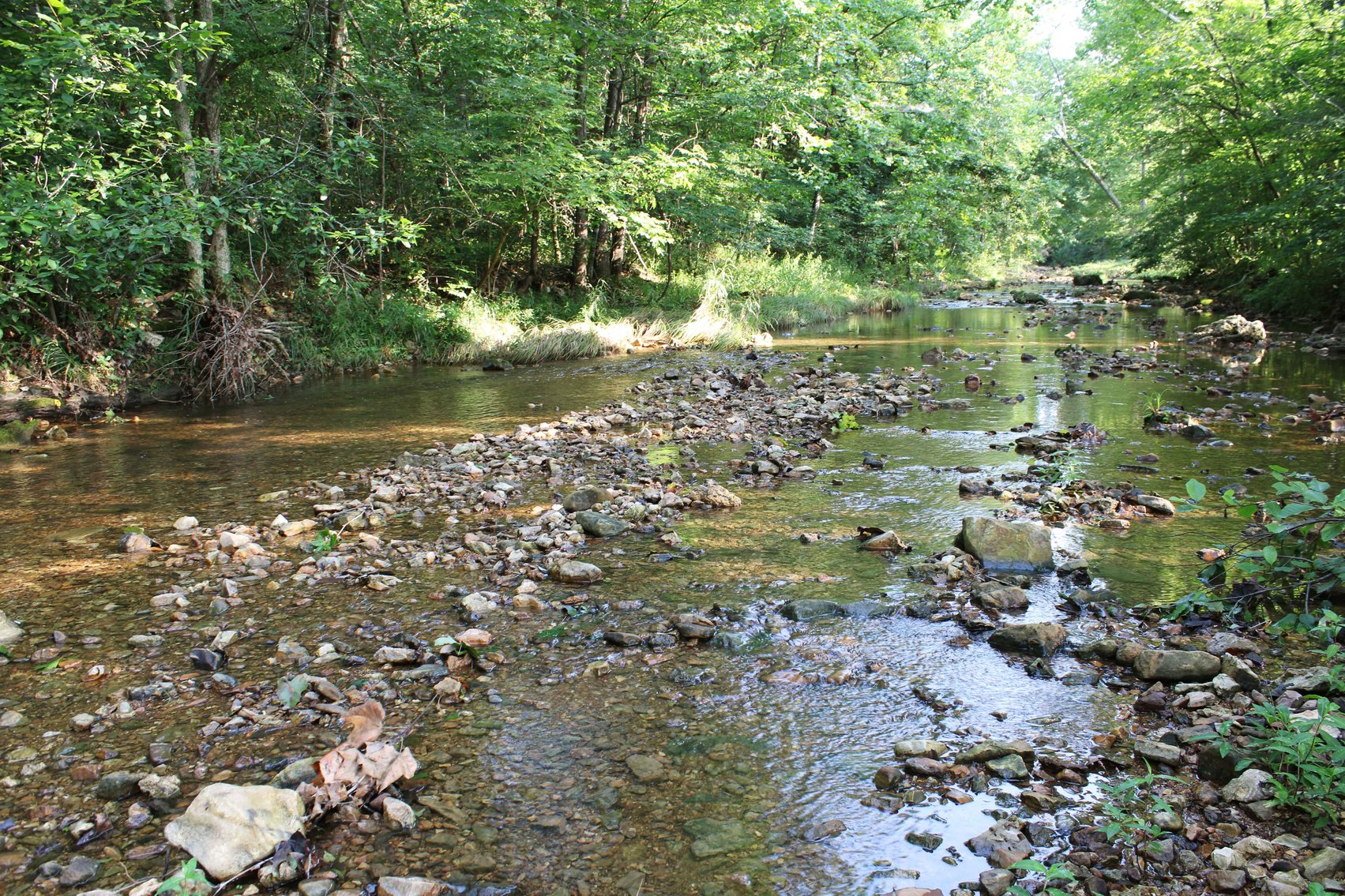 Image for Tract 1, 12.7 Acres BCR 306, Marble Hill, MO 63764, MLS #24044109