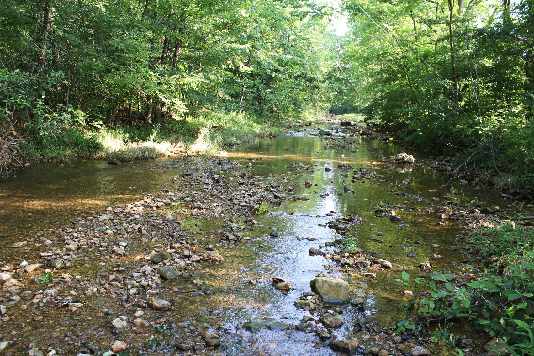 Image for Tract 1, 12.7 Acres BCR 306, Marble Hill, MO 63764, MLS #24044109