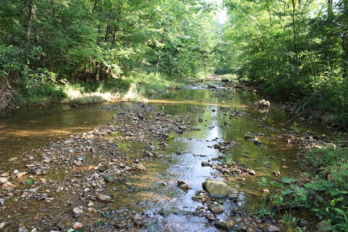 Image for Tract 1, 12.7 Acres BCR 306, Marble Hill, MO 63764, MLS #24044109