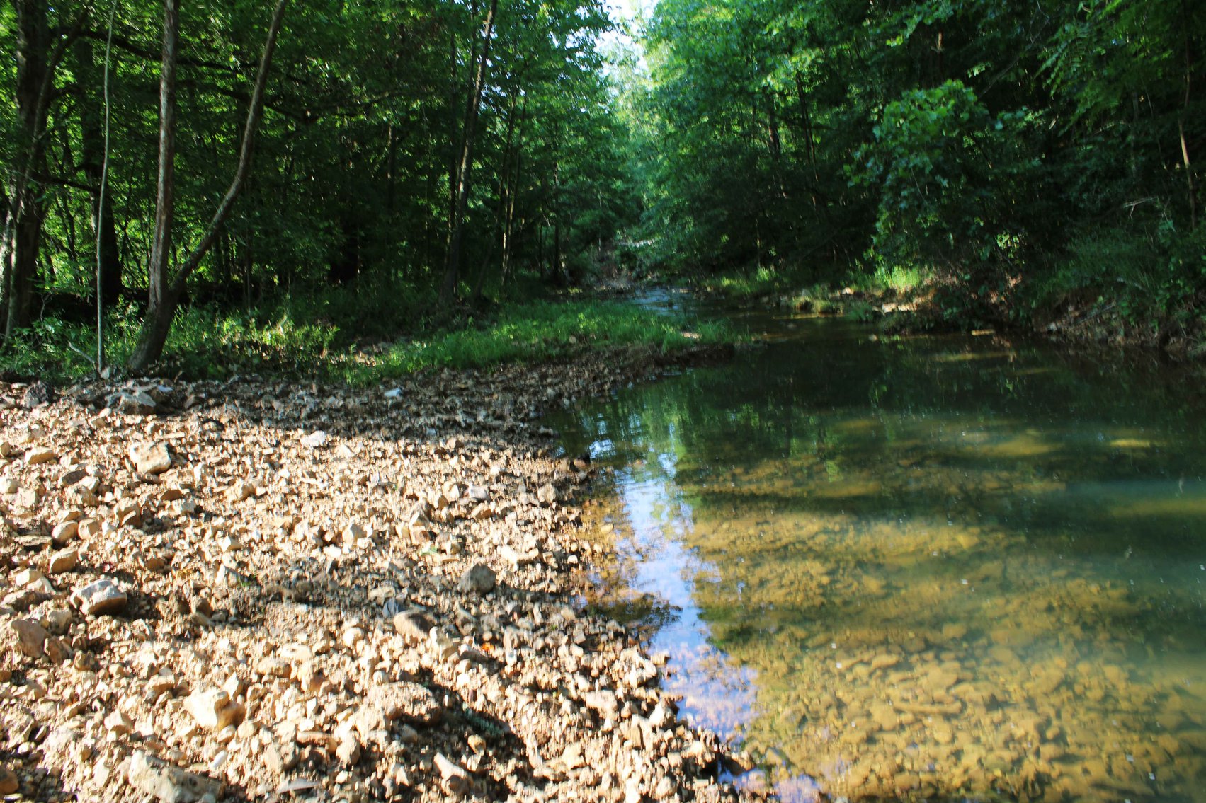 Image for Tract 1, 12.7 Acres BCR 306, Marble Hill, MO 63764, MLS #24044109