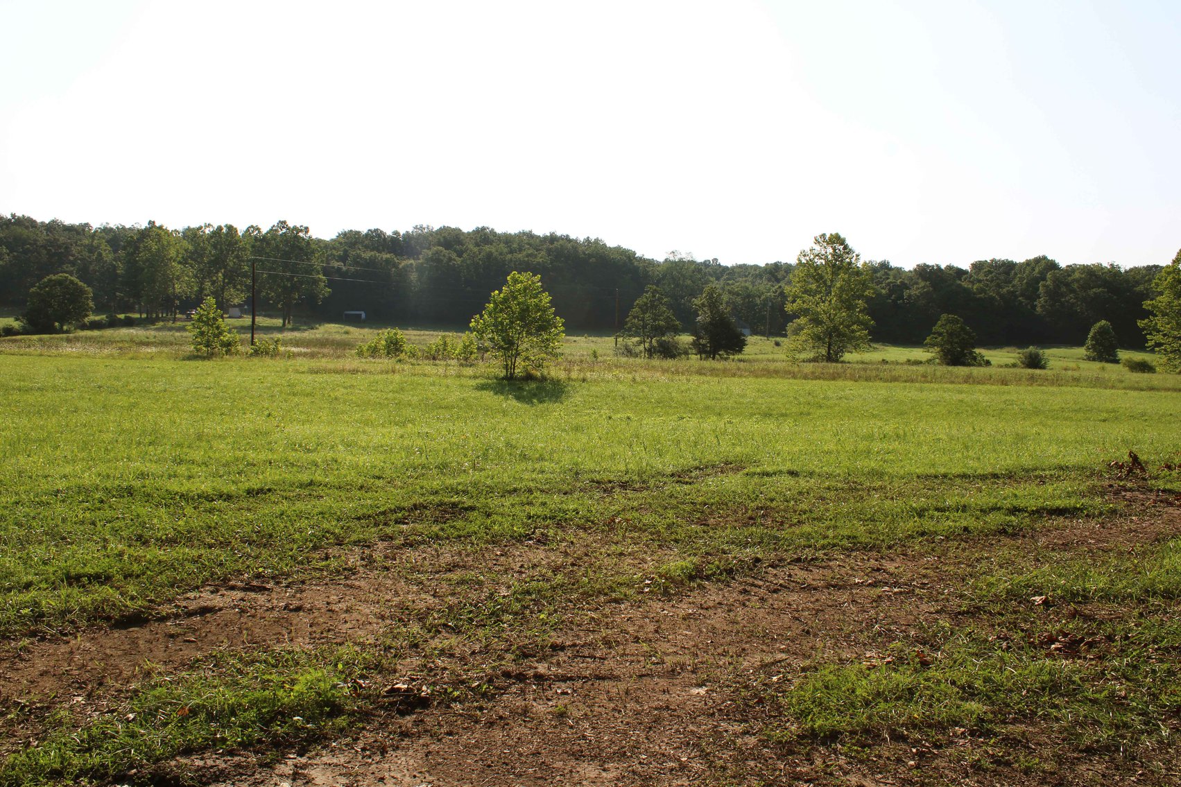 Image for Tract 1, 12.7 Acres BCR 306, Marble Hill, MO 63764, MLS #24044109