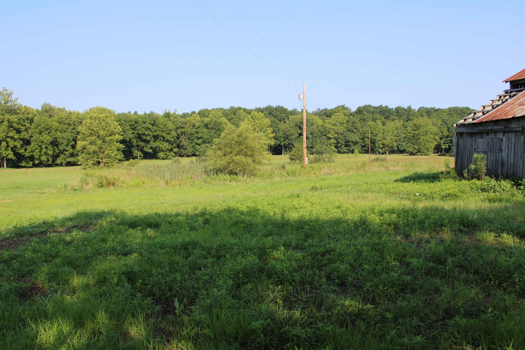 Image for Tract 1, 12.7 Acres BCR 306, Marble Hill, MO 63764, MLS #24044109