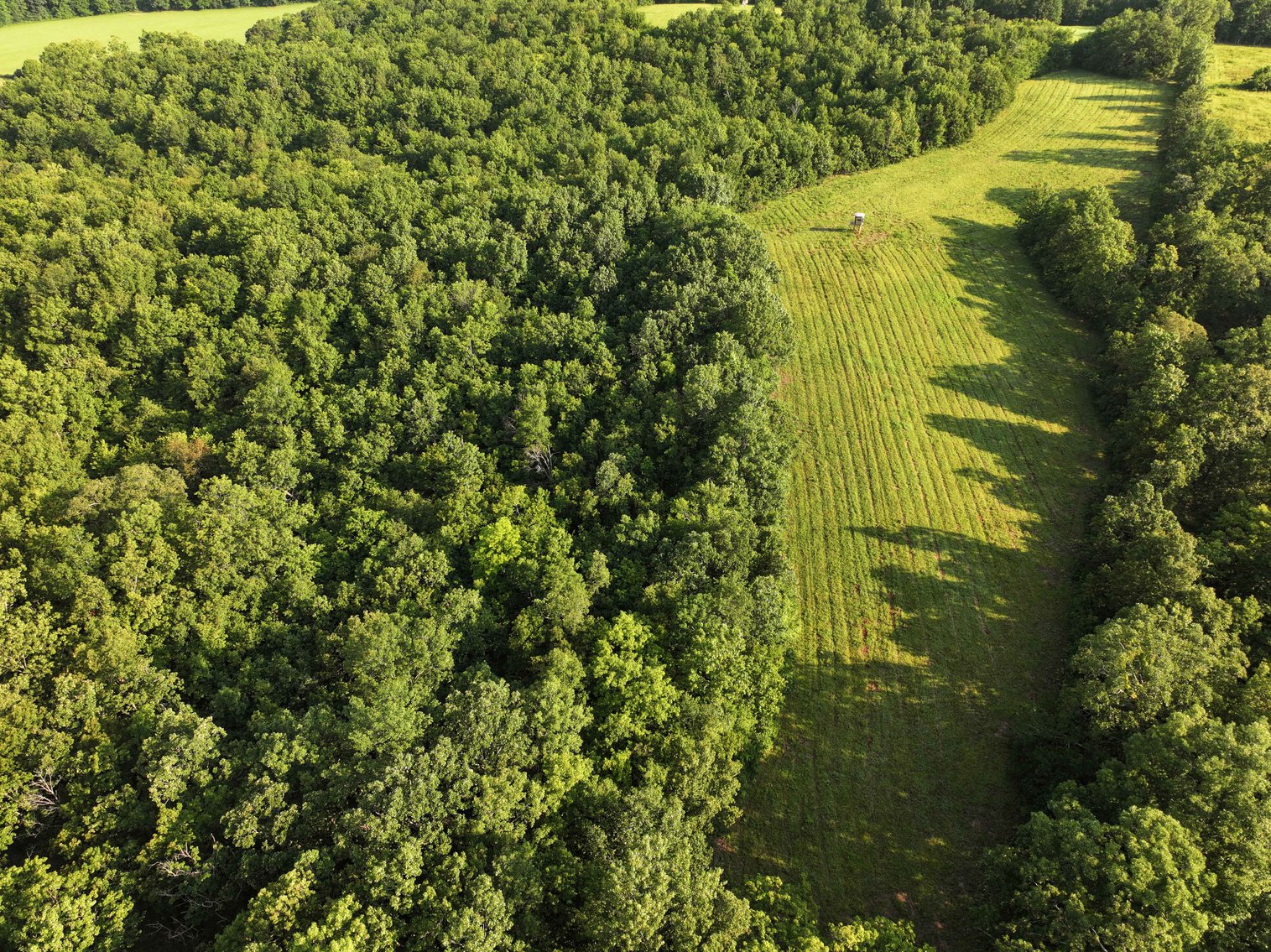 Image for Tract 2, 31.37 Acres, BCR 306 Marble Hill, MO 63764 MLS #2444129