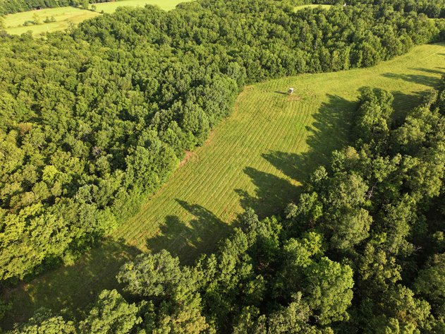 Image for Tract 2, 31.37 Acres, BCR 306 Marble Hill, MO 63764 MLS #2444129