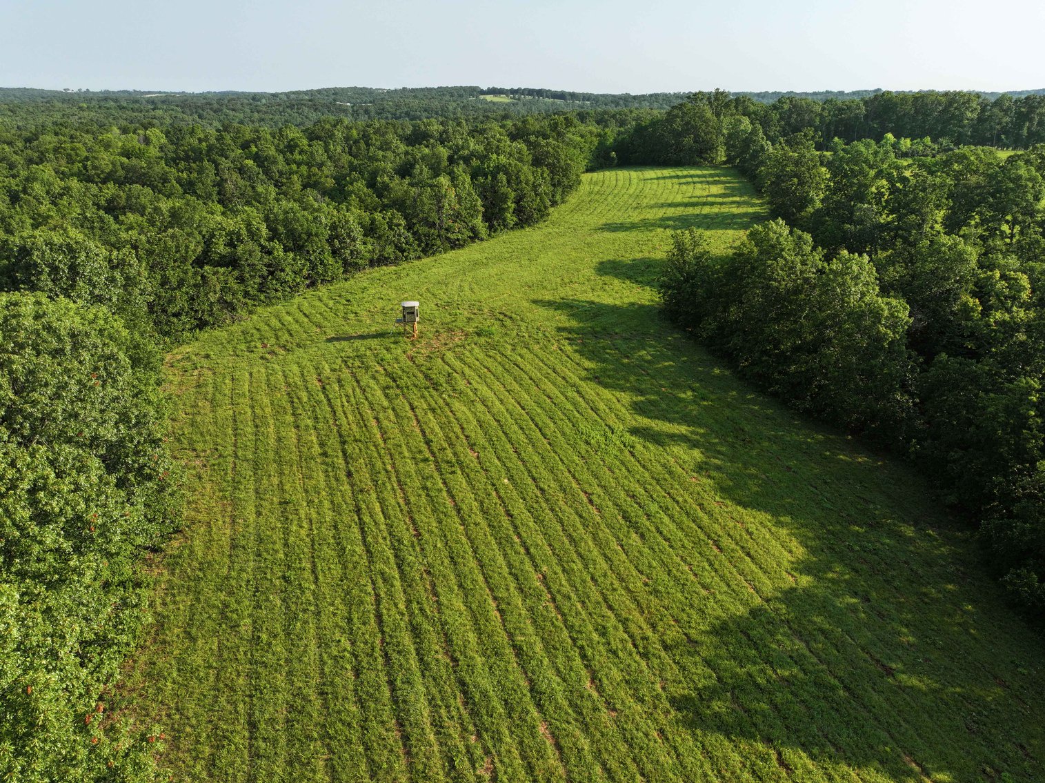 Image for Tract 2, 31.37 Acres, BCR 306 Marble Hill, MO 63764 MLS #2444129