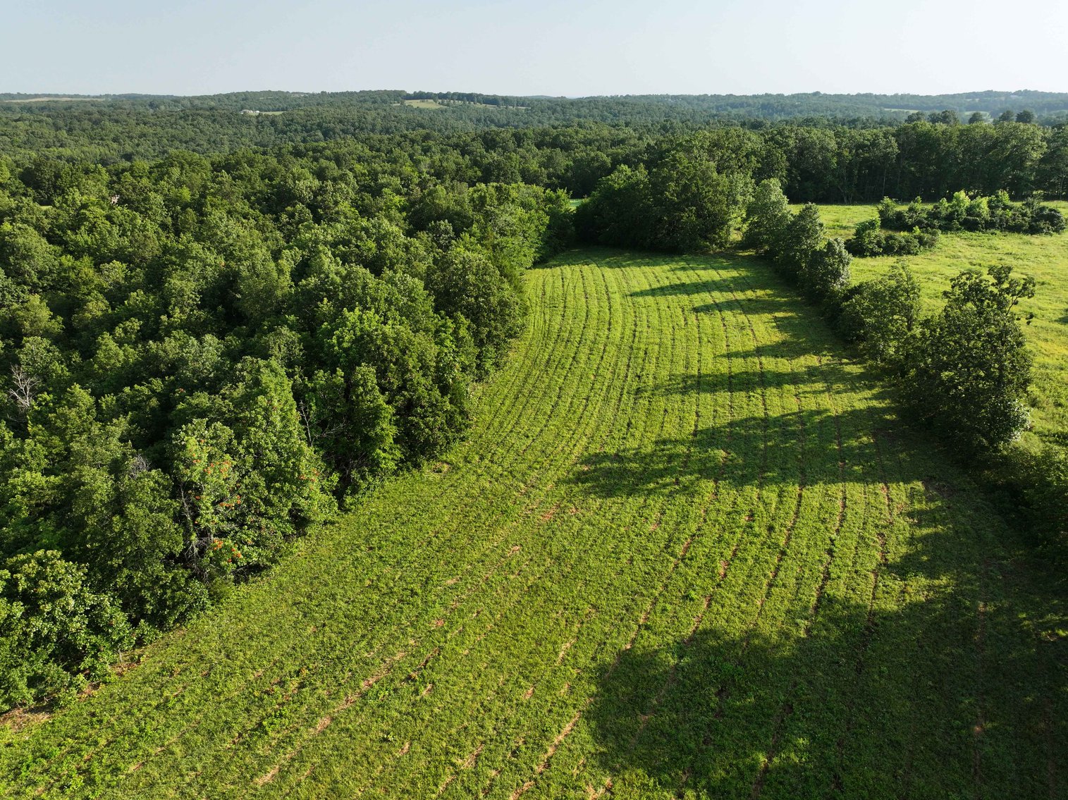 Image for Tract 2, 31.37 Acres, BCR 306 Marble Hill, MO 63764 MLS #2444129