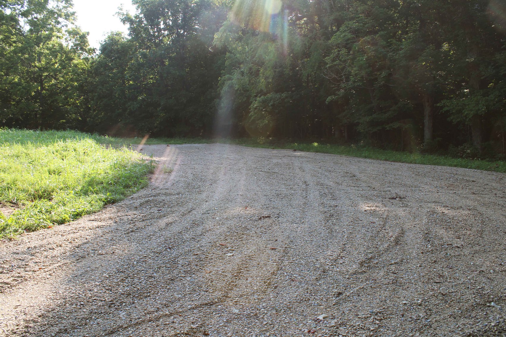 Image for Tract 2, 31.37 Acres, BCR 306 Marble Hill, MO 63764 MLS #2444129