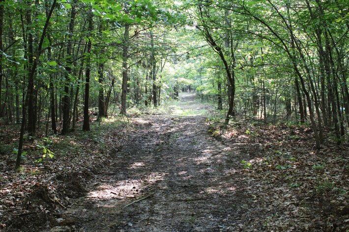 Image for Tract 2, 31.37 Acres, BCR 306 Marble Hill, MO 63764 MLS #2444129