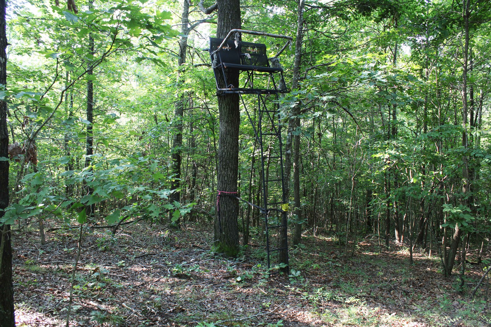 Image for Tract 2, 31.37 Acres, BCR 306 Marble Hill, MO 63764 MLS #2444129