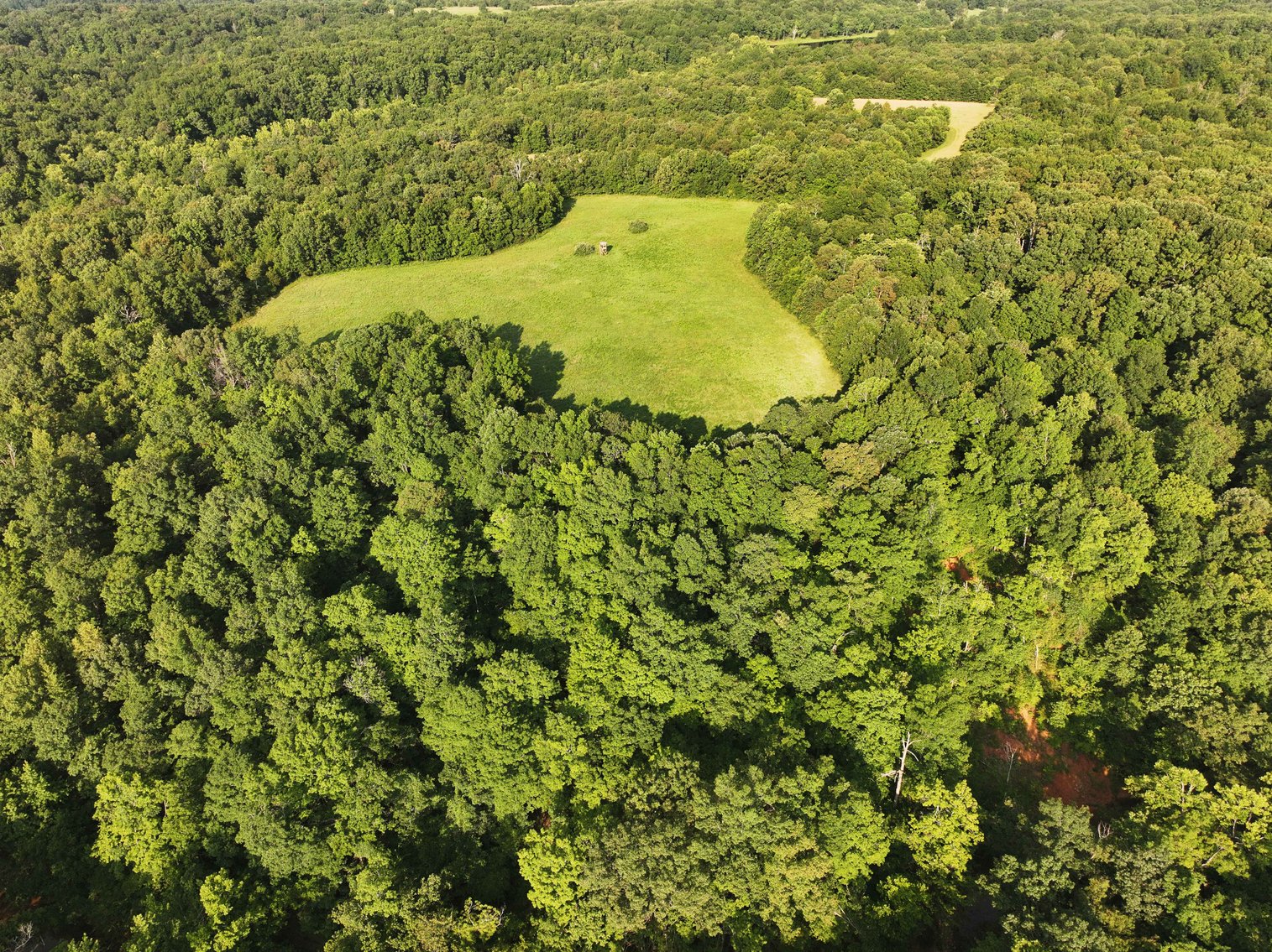 Image for Tract 3, BCR 306 Marble Hill, MO 63764, MLS #224044135