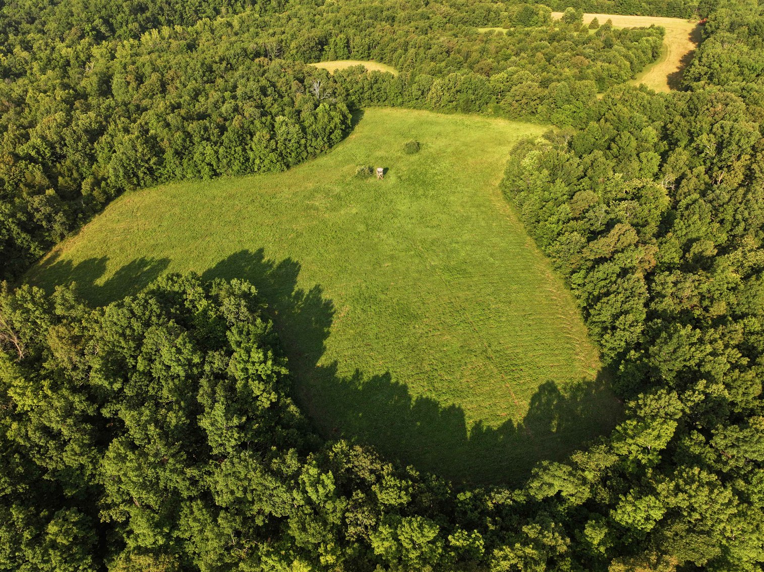 Image for Tract 3, BCR 306 Marble Hill, MO 63764, MLS #224044135