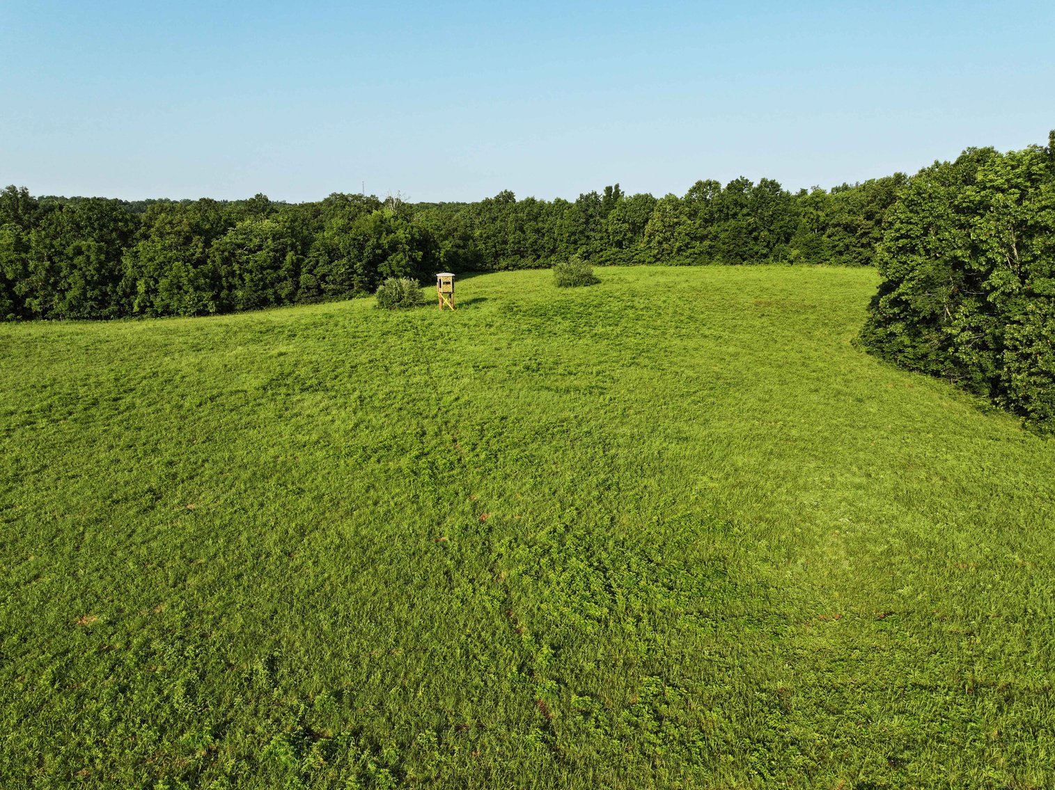 Image for Tract 3, BCR 306 Marble Hill, MO 63764, MLS #224044135