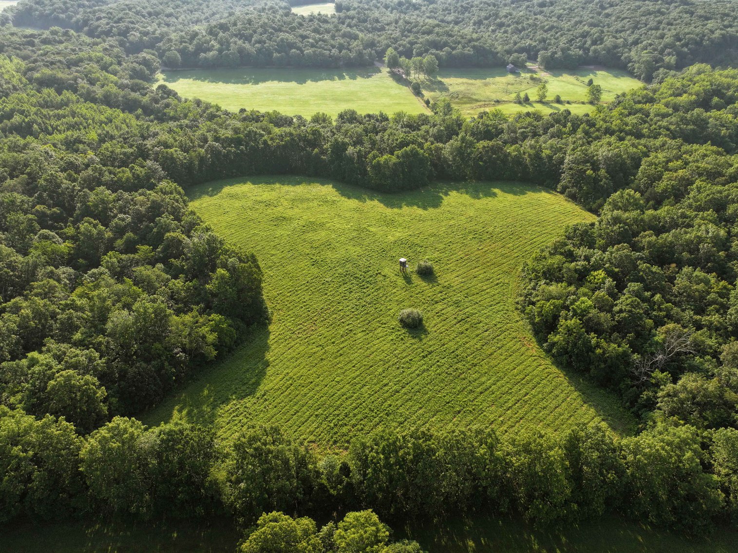 Image for Tract 3, BCR 306 Marble Hill, MO 63764, MLS #224044135