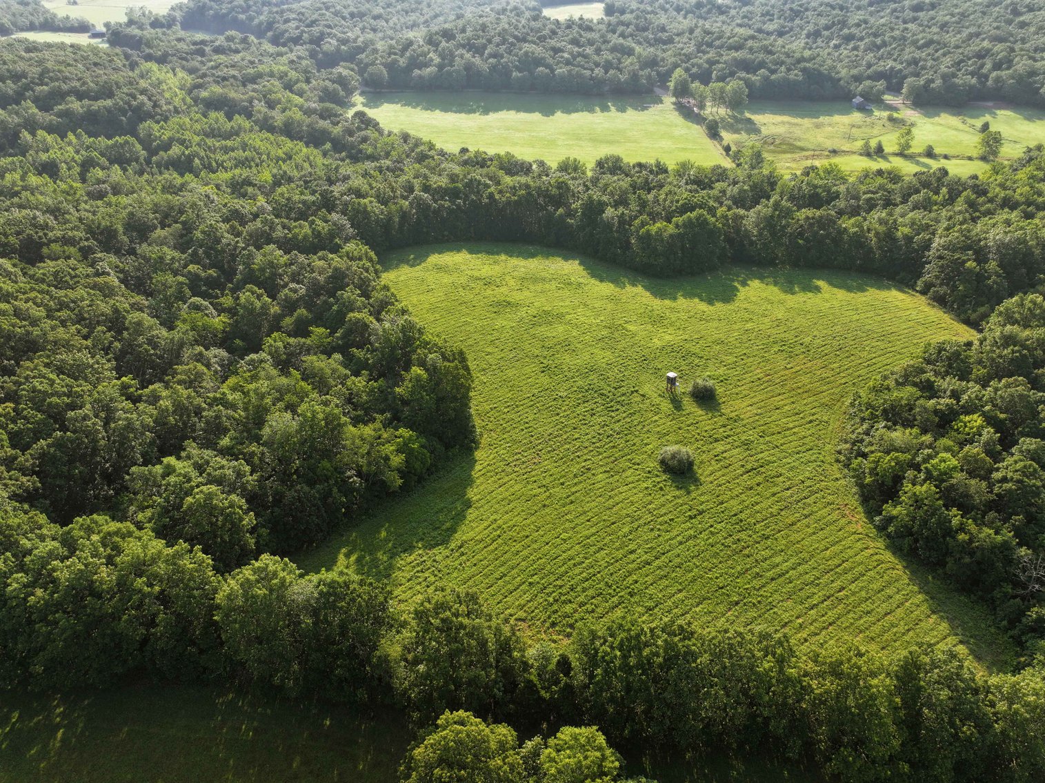 Image for Tract 3, BCR 306 Marble Hill, MO 63764, MLS #224044135