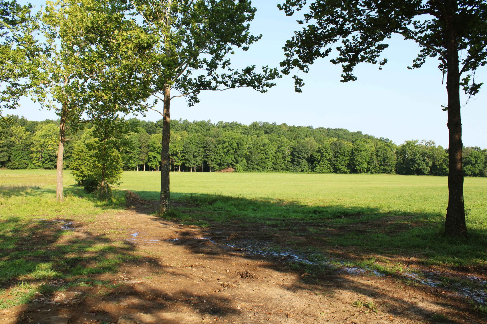 Image for Tract 3, BCR 306 Marble Hill, MO 63764, MLS #224044135