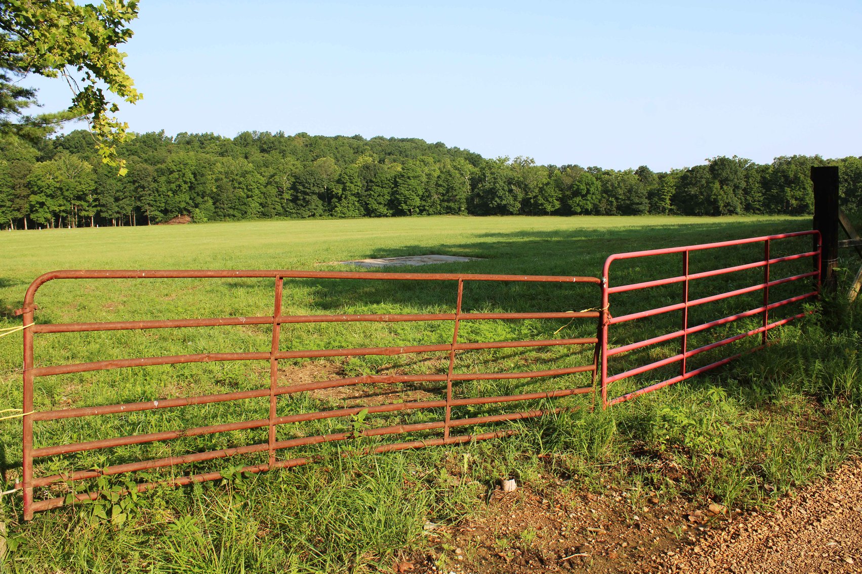 Image for Tract 3, BCR 306 Marble Hill, MO 63764, MLS #224044135