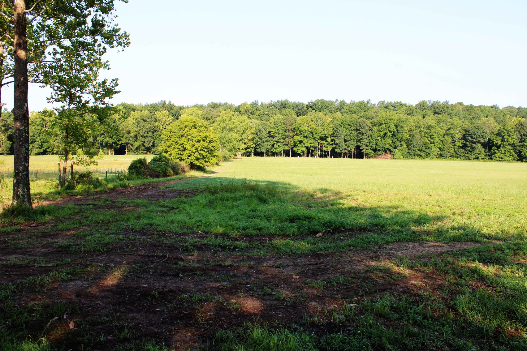 Image for Tract 3, BCR 306 Marble Hill, MO 63764, MLS #224044135