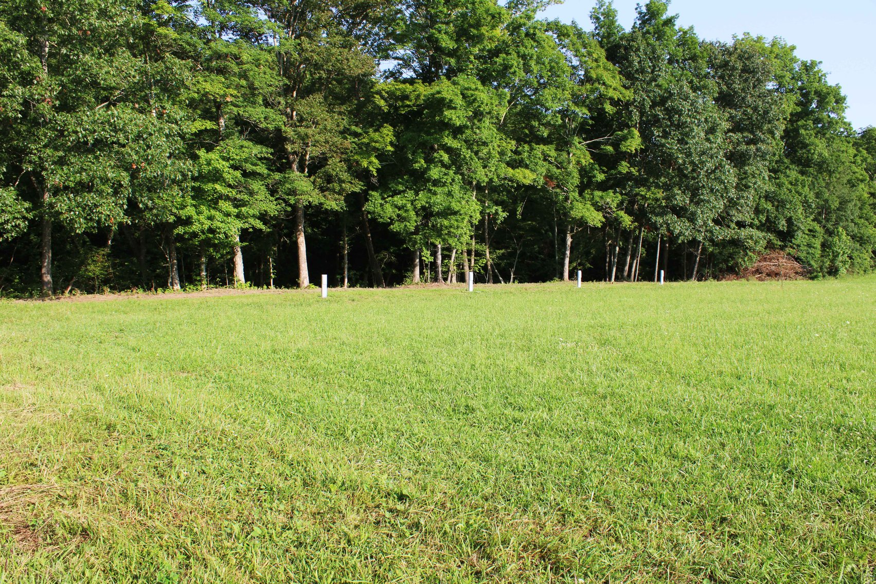 Image for Tract 3, BCR 306 Marble Hill, MO 63764, MLS #224044135