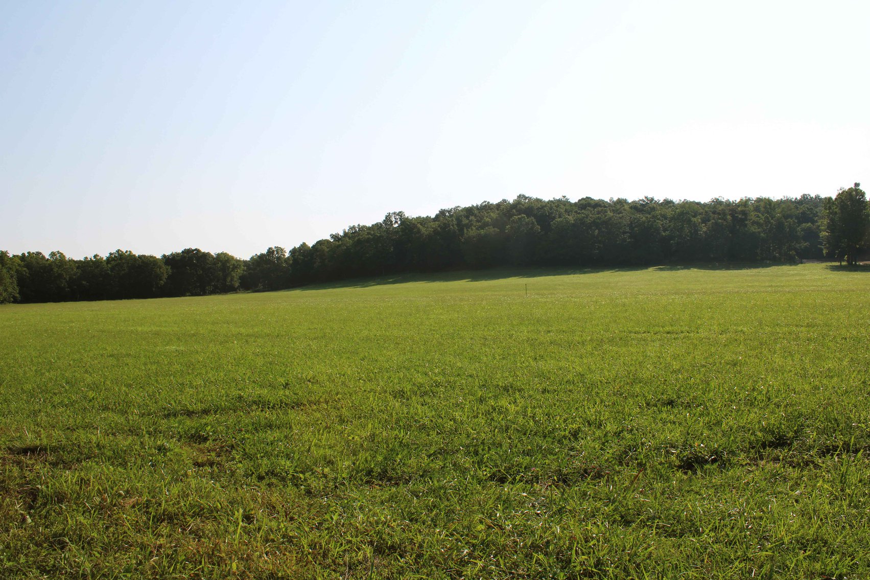 Image for Tract 3, BCR 306 Marble Hill, MO 63764, MLS #224044135
