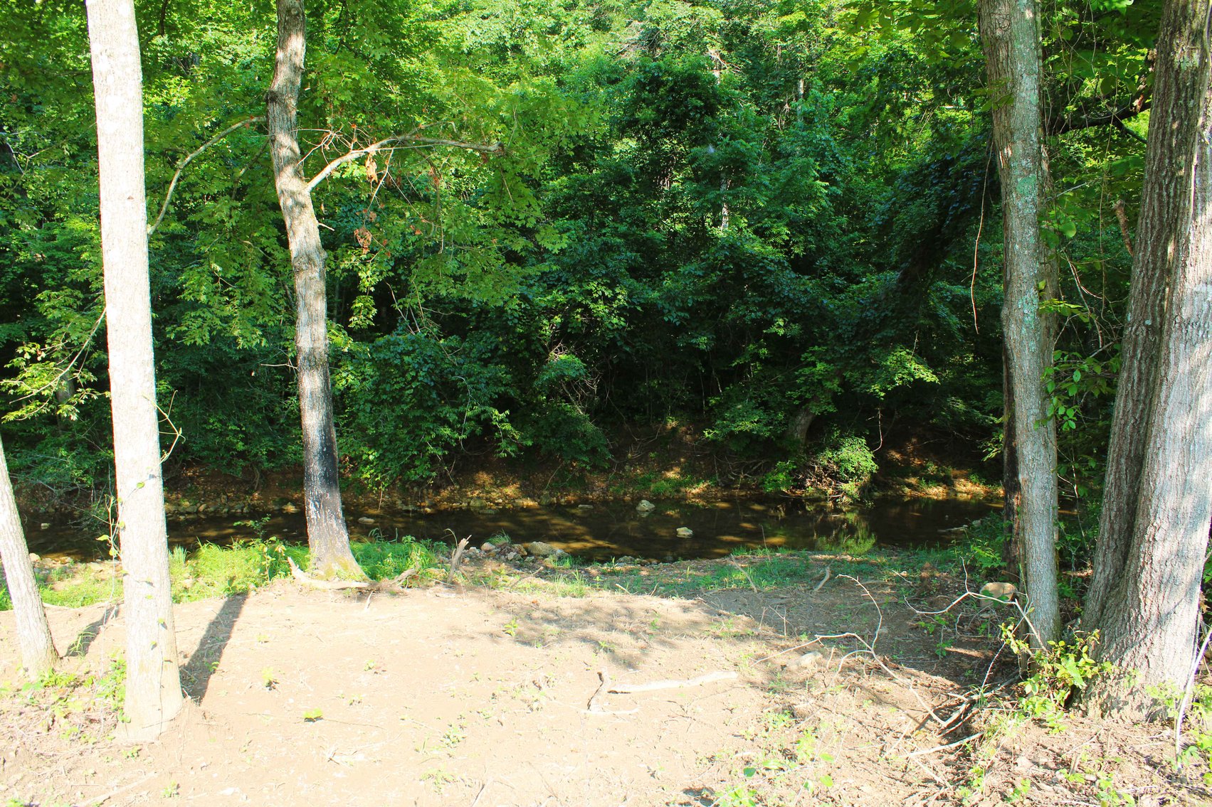 Image for Tract 3, BCR 306 Marble Hill, MO 63764, MLS #224044135