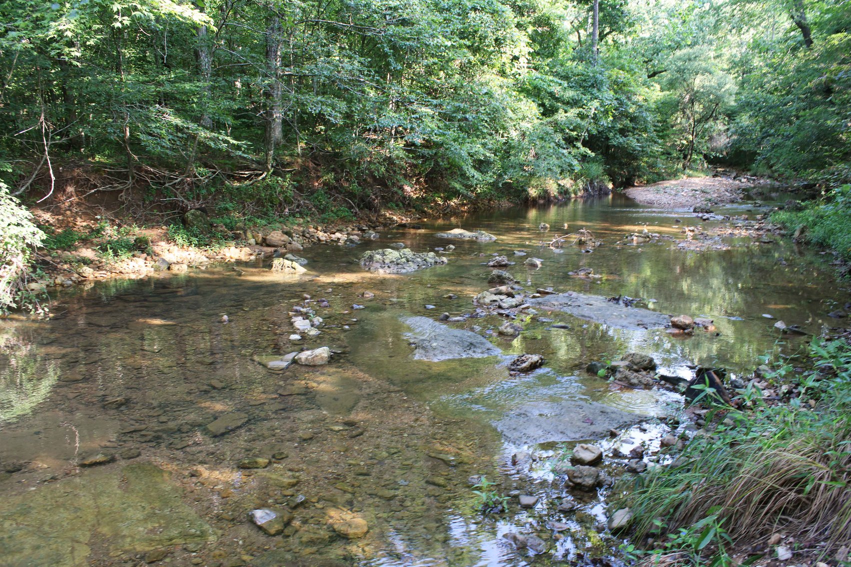 Image for Tract 3, BCR 306 Marble Hill, MO 63764, MLS #224044135