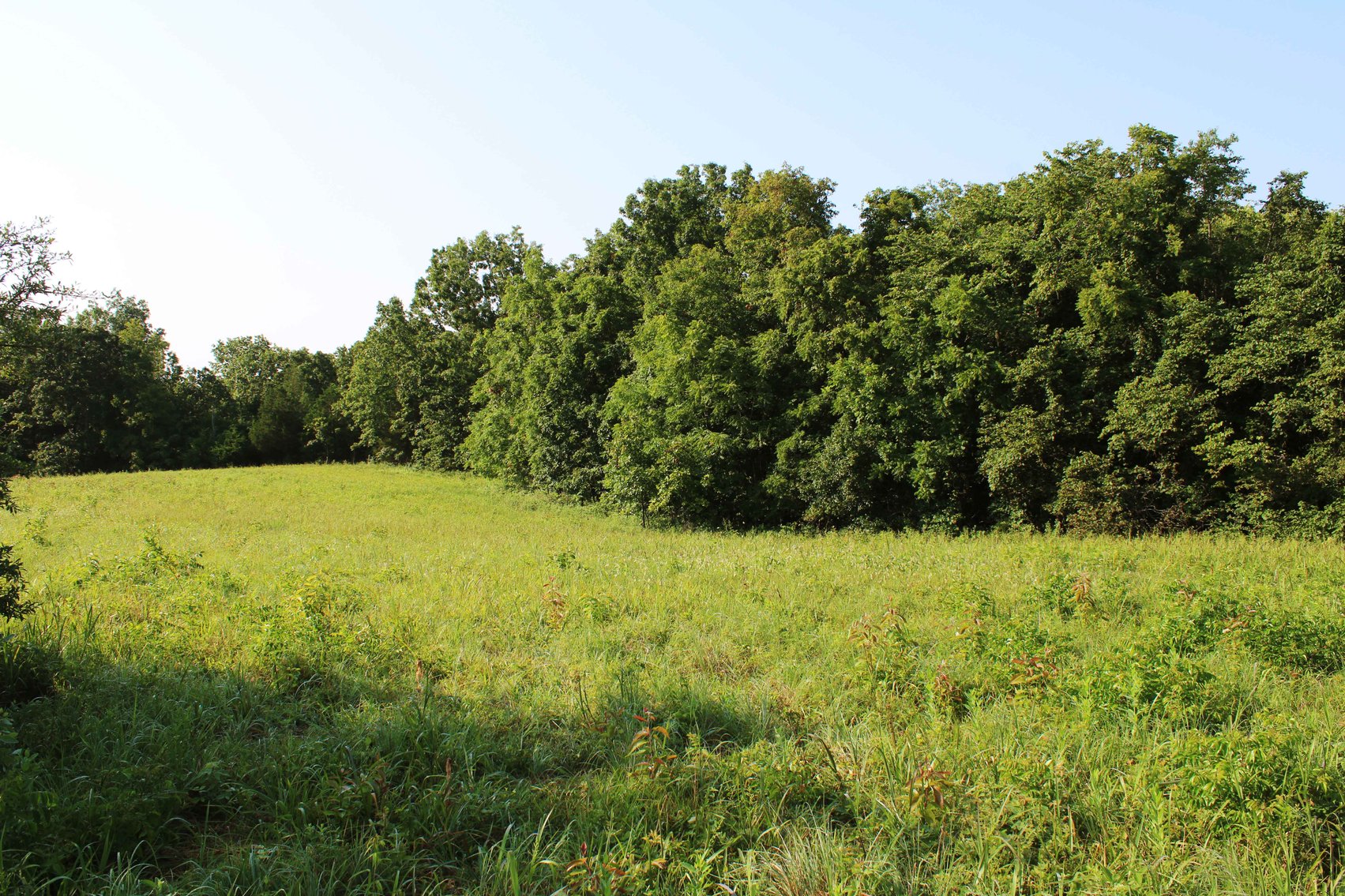 Image for Tract 3, BCR 306 Marble Hill, MO 63764, MLS #224044135