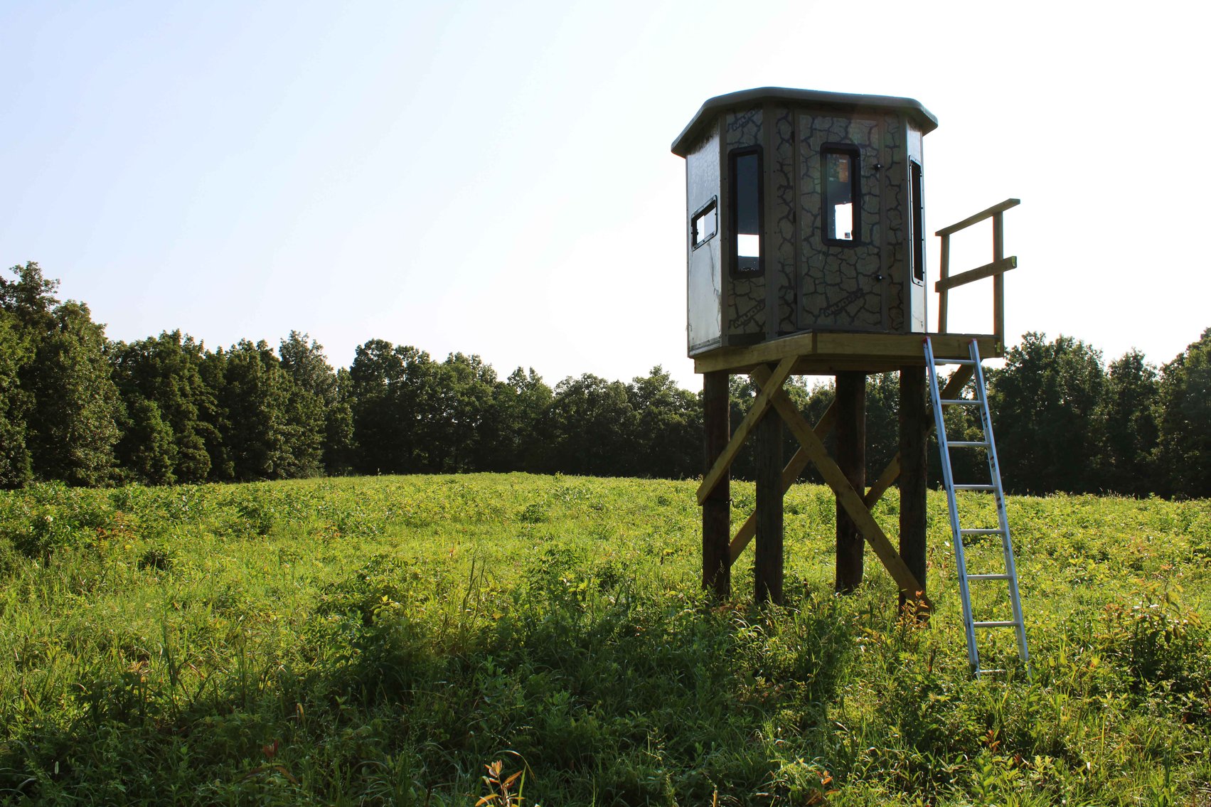 Image for Tract 3, BCR 306 Marble Hill, MO 63764, MLS #224044135