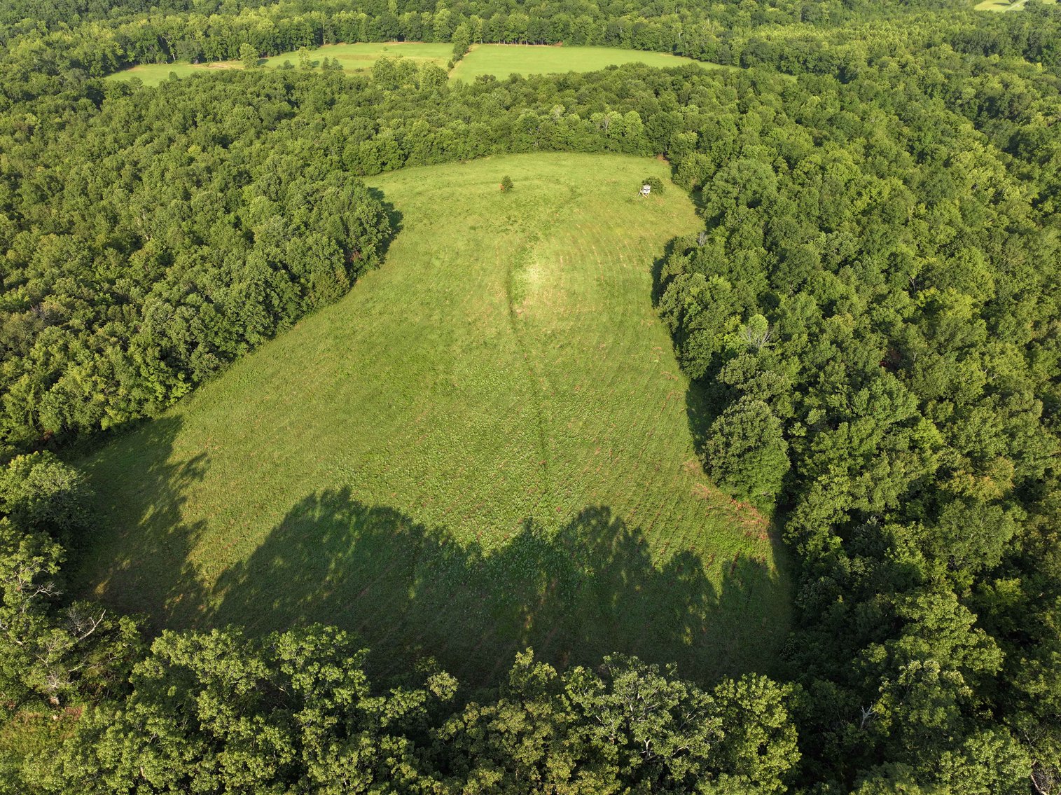 Image for Tract 4, BCR 306 Marble Hill, MO 63764