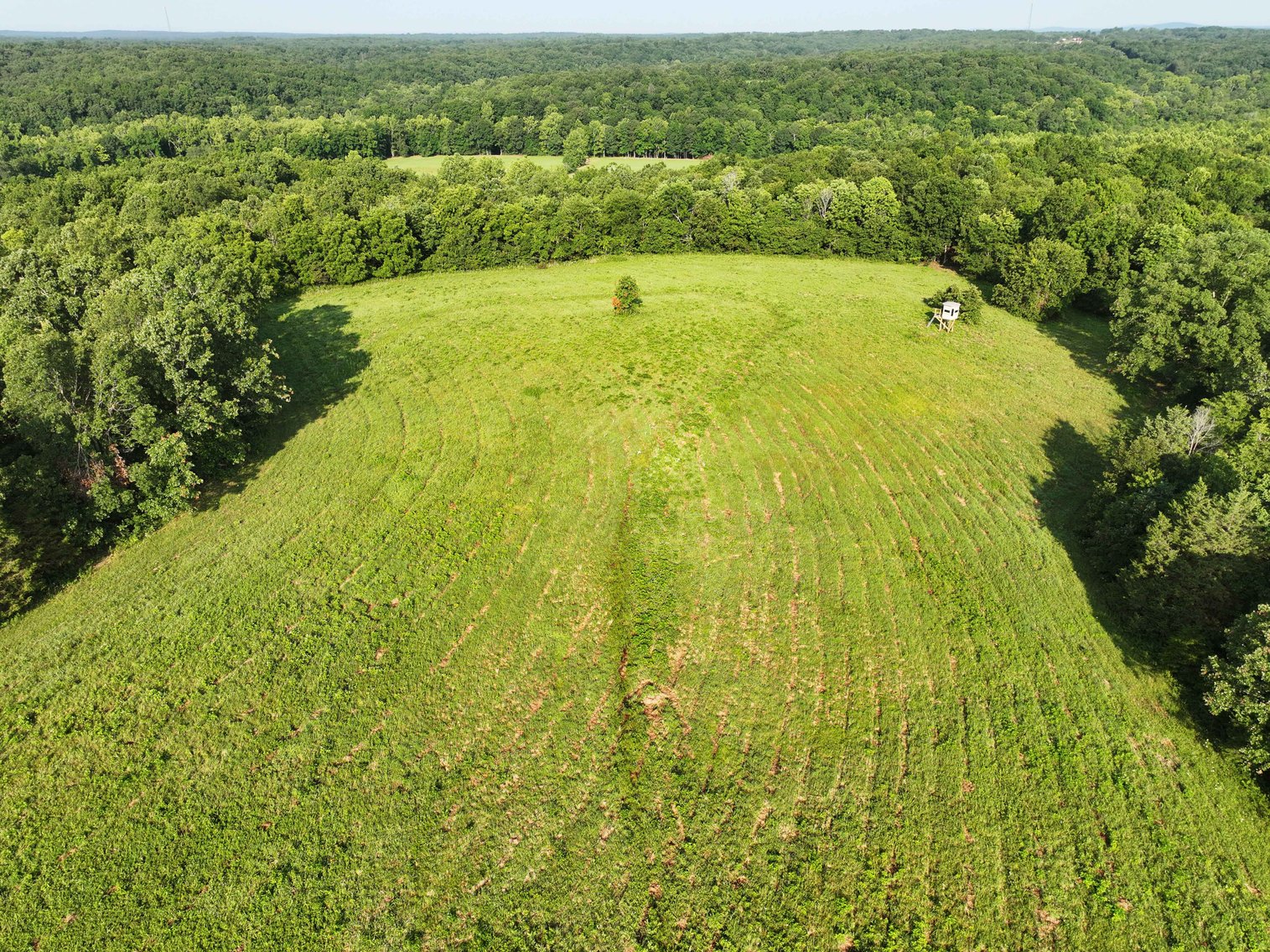 Image for Tract 4, BCR 306 Marble Hill, MO 63764